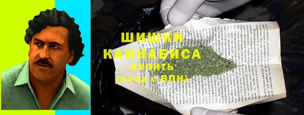 прущие грибы Волосово