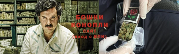 МДПВ Сосновый Бор