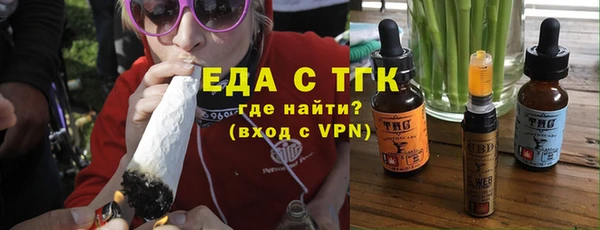 гашик Вяземский