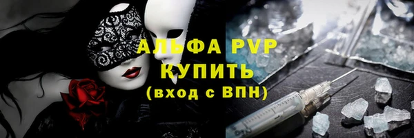 прущие крисы Горняк