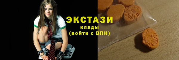 гашик Вяземский