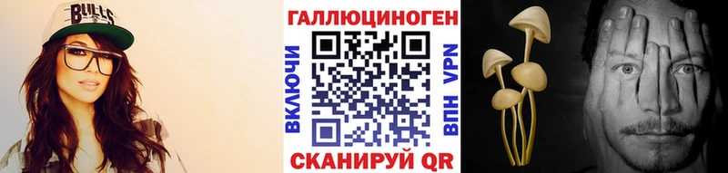 МЕГА tor  Зубцов  Галлюциногенные грибы GOLDEN TEACHER 